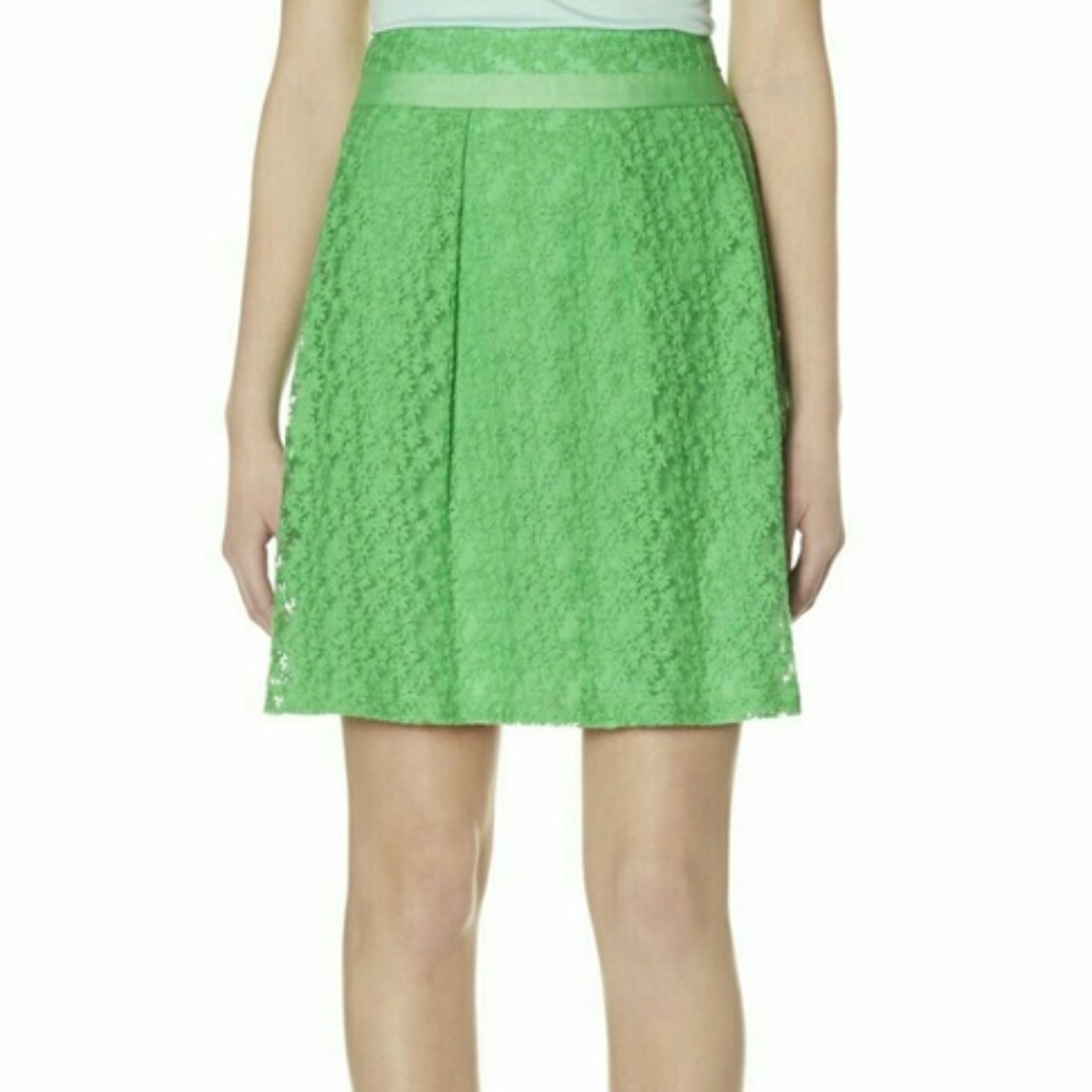 NWT Delicate Floral Overlay Pleated Skirt